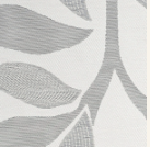 RD Foliage